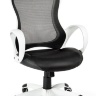 Кресло компьютерное Тесла CX0398H01 white/black