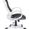 Кресло компьютерное Тесла CX0398H01 white/black