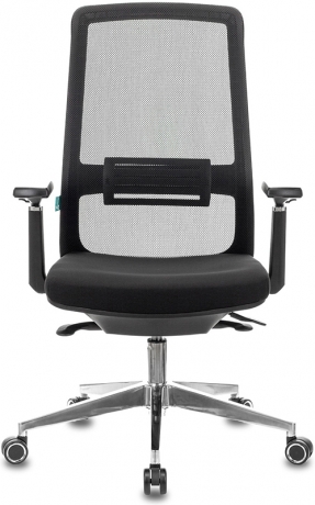 Ортопедическое компьютерное кресло Бюрократ MC-915
