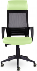 Ортопедическое компьютерное кресло Альт фисташковый экокожа/сетка