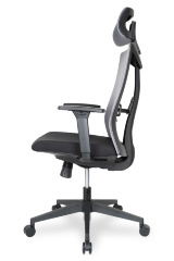 Ортопедическое компьютерное кресло College CLG-429 MBN-A Grey