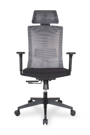 Ортопедическое компьютерное кресло College CLG-429 MBN-A Grey