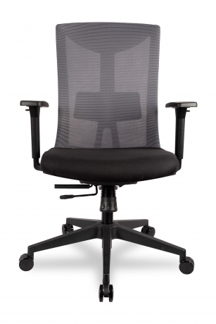 Ортопедическое компьютерное кресло College CLG-428 MBN-B Grey
