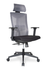 Ортопедическое компьютерное кресло College CLG-428 MBN-A Grey