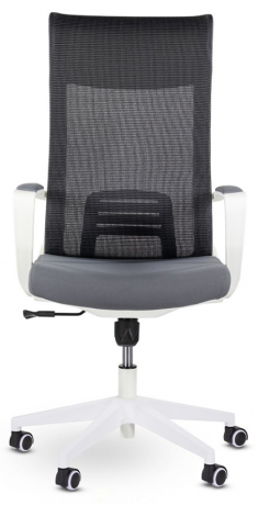 Компьютерное кресло UTFC Рекорд М-878 белый пластик серый