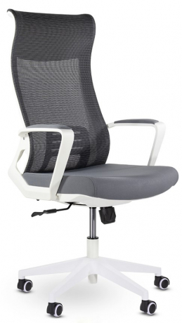 Компьютерное кресло UTFC Рекорд М-878 белый пластик серый