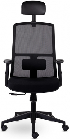 Ортопедическое компьютерное кресло Оптима PPL черный ткань/сетка