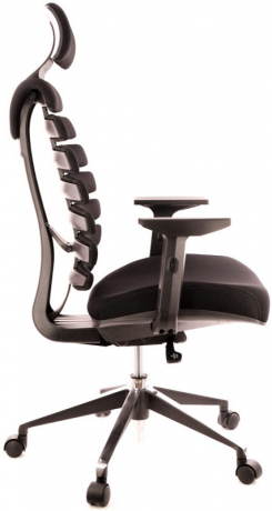 Ортопедическое компьютерное кресло Everprof Ergo Black ткань черная