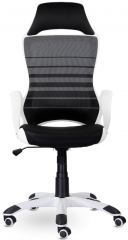 Ортопедическое компьютерное кресло Тесла WHITE черный ткань/сетка