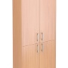 Шкаф офисный Арго А-310 + А-610 (77х37х200)