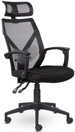 Ортопедическое компьютерное кресло Астон черный ткань/сетка