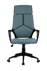 Кресло Riva Chair Iq Rv 8989 светло-серый (черный пластик)