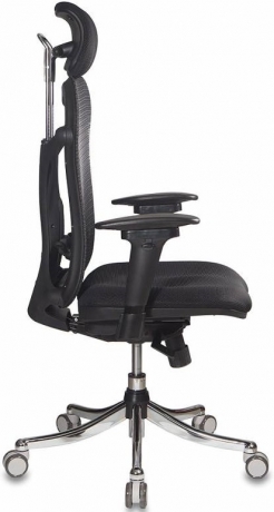 Ортопедическое компьютерное кресло Бюрократ Ch-999ASX черный сетка/ткань