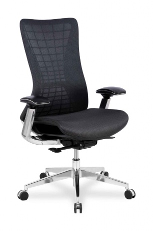Ортопедическое офисное кресло College HLC-2588F/Grey