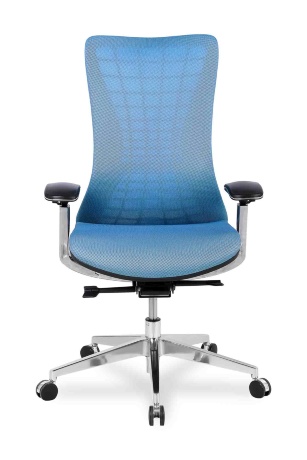 Ортопедическое офисное кресло College HLC-2588F/Blue